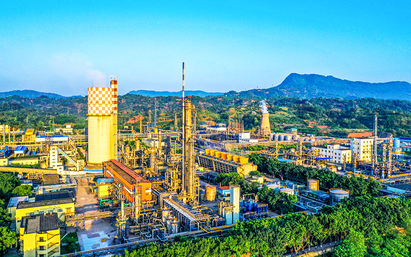 1693013333581878.jpg 01.jpg